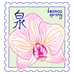 kosmos spring - home