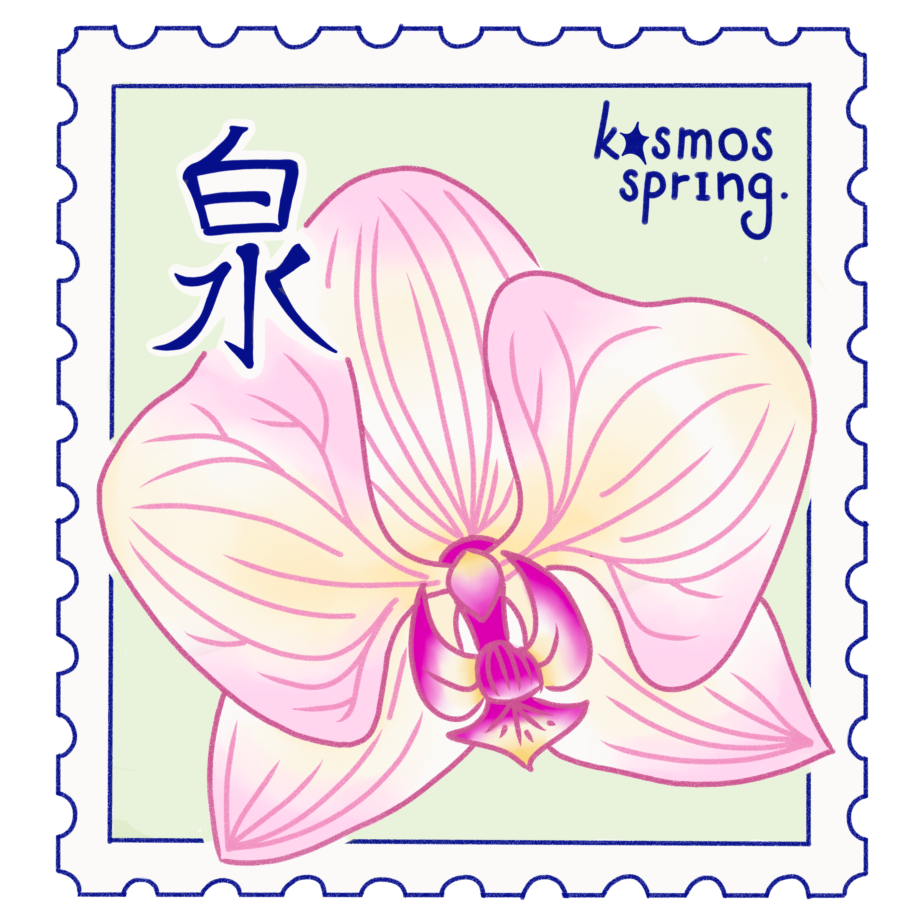 kosmos spring