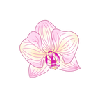 a letter for your loved one